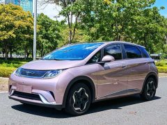 BYD Dolphin 405km Fashion Edition - ფოტო 1