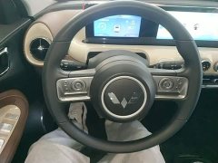 Wuling Binguo 333km Joy Edition - ფოტო 11