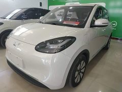 Wuling Binguo 333km Joy Edition - ფოტო 2