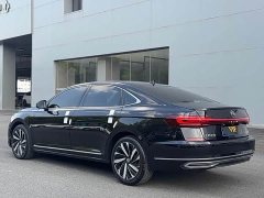Volkswagen Passat 330TSI Starry Sky Elite - ფოტო 10