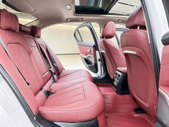 BMW 3 Series 320Li M Sport Package - ფოტო 10