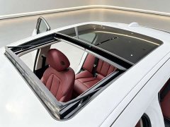 BMW 3 Series 320Li M Sport Package - ფოტო 15