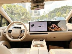 Li Auto i6 Four-Wheel Drive Standard Edition - ფოტო 14