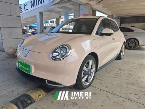 2024 ORA Good Cat 2023 401km Standard Range Luxury LFP - ავტომობილი ჩინეთიდან