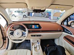 ORA Good Cat 2023 401km Standard Range Luxury LFP - ფოტო 10