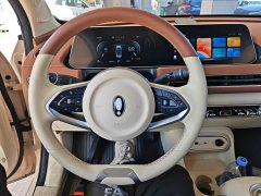 ORA Good Cat 2023 401km Standard Range Luxury LFP - ფოტო 11