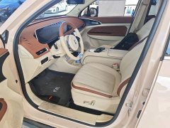 ORA Good Cat 2023 401km Standard Range Luxury LFP - ფოტო 15
