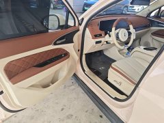 ORA Good Cat 2023 401km Standard Range Luxury LFP - ფოტო 16