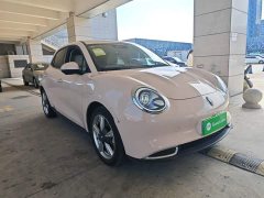ORA Good Cat 2023 401km Standard Range Luxury LFP - ფოტო 4