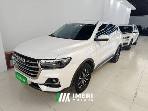 2023 Haval H6 National Trend Edition 1.5T Automatic Urban Version - ავტომობილი ჩინეთიდან