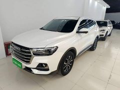 Haval H6 National Trend Edition 1.5T Automatic Urban Version - ფოტო 2