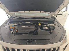 GAC GS4 PLUS 390T Edition - ფოტო 20