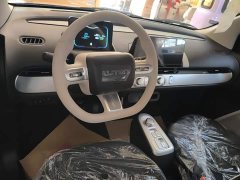 Changan Lumin Treasure Edition 205km Cool Love White CATL - ფოტო 10