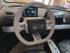 Changan Lumin Treasure Edition 205km Cool Love White CATL - ფოტო 11