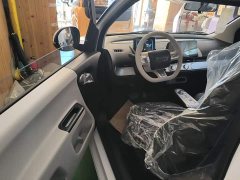 Changan Lumin Treasure Edition 205km Cool Love White CATL - ფოტო 16