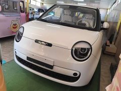 Changan Lumin Treasure Edition 205km Cool Love White CATL - ფოტო 2