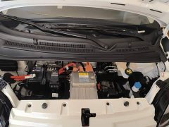 Changan Lumin Treasure Edition 205km Cool Love White CATL - ფოტო 20