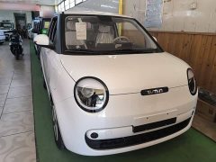 Changan Lumin Treasure Edition 205km Cool Love White CATL - ფოტო 3