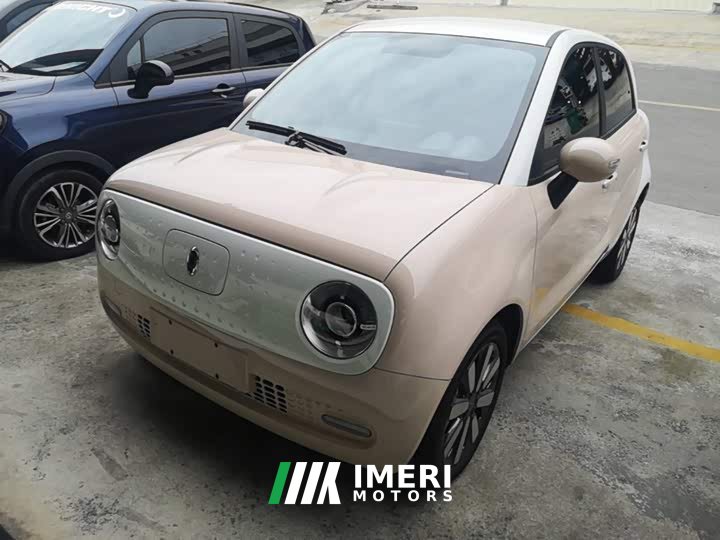 ORA Black Cat 351km Standard - ავტომობილი ჩინეთიდან