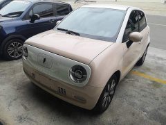 ORA Black Cat 351km Standard - ფოტო 1
