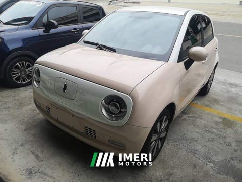 2021 ORA Black Cat 351km Standard - ავტომობილი ჩინეთიდან