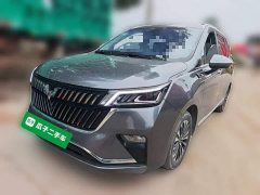 Wuling Jiachen 2022 1.5T CVT Premium Flagship - ფოტო 2