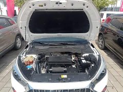 Sihao A5 1.5T CVT Luxury Smart Connected Edition - ფოტო 20