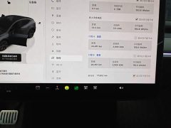 Tesla Model Y Rear-Wheel Drive - ფოტო 12