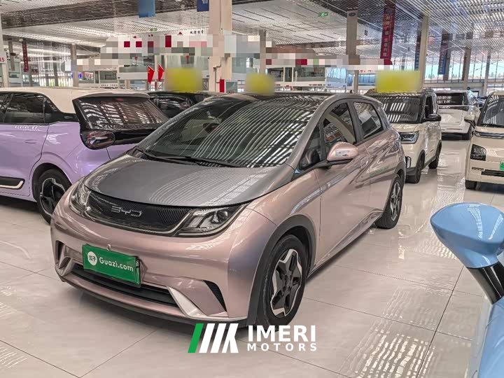BYD Dolphin 405km Fashion Edition - ავტომობილი ჩინეთიდან