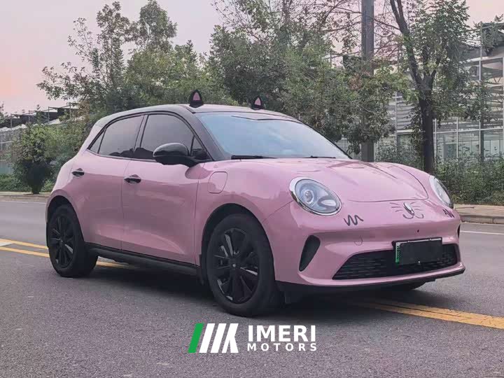 ORA Good Cat 430km Deluxe Edition - ავტომობილი ჩინეთიდან