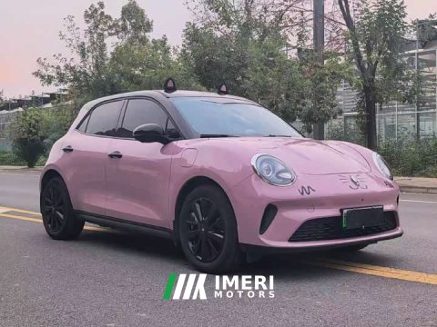 2025 ORA Good Cat 430km Deluxe Edition - ავტომობილი ჩინეთიდან