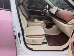 ORA Good Cat 430km Deluxe Edition - ფოტო 4
