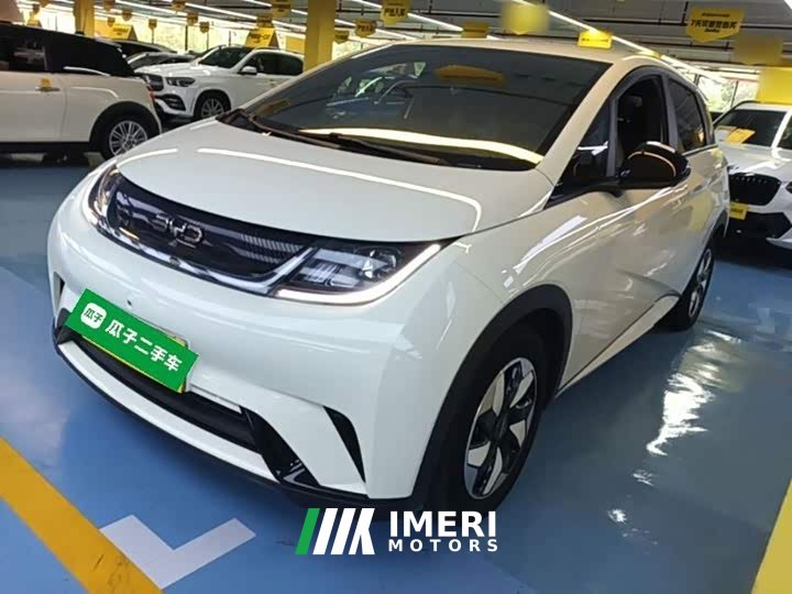 BYD Dolphin 420km Freedom Edition - ავტომობილი ჩინეთიდან