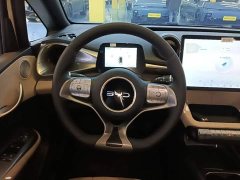 BYD Dolphin 420km Freedom Edition - ფოტო 11