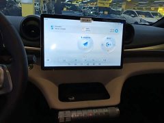 BYD Dolphin 420km Freedom Edition - ფოტო 13
