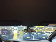 BYD Dolphin 420km Freedom Edition - ფოტო 18