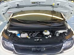BYD Dolphin 420km Freedom Edition - ფოტო 20