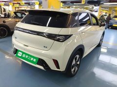 BYD Dolphin 420km Freedom Edition - ფოტო 7