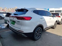 Haval H6 2023 National Trend Edition 1.5T Automatic Urban Version - ფოტო 4