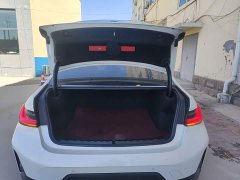 BMW 3 Series 320Li M Sport Package - ფოტო 19