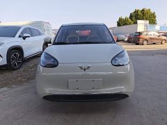 Wuling Binguo 333km Joy Edition - ფოტო 3