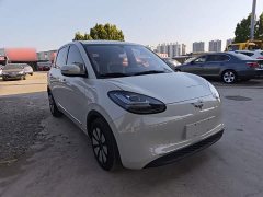 Wuling Binguo 333km Joy Edition - ფოტო 4