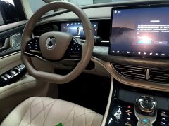 Denza BYD Denza D9 2022 DM-i 945 Luxury - ფოტო 10