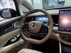 Denza BYD Denza D9 2022 DM-i 945 Luxury - ფოტო 11