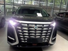 Denza BYD Denza D9 2022 DM-i 945 Luxury - ფოტო 3