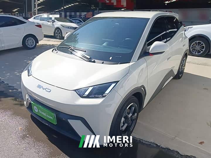 BYD Seagull 2023 Freedom Edition - ავტომობილი ჩინეთიდან