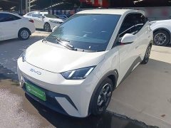 BYD Seagull 2023 Freedom Edition - ფოტო 1