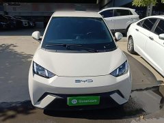 BYD Seagull 2023 Freedom Edition - ფოტო 3