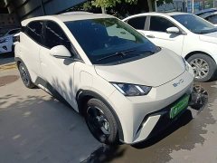 BYD Seagull 2023 Freedom Edition - ფოტო 4