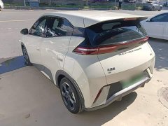 BYD Seagull 2023 Freedom Edition - ფოტო 5